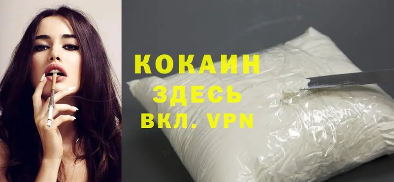 Cocaine Fish Scale  Сыктывкар 