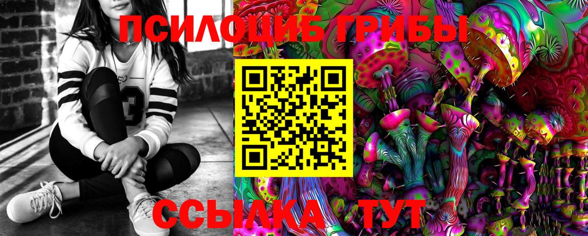 наркотики  Псилоцибиновые грибы прущие грибы  Сыктывкар  Вход с VPN  Галлюциногенные грибы Cubensis 
