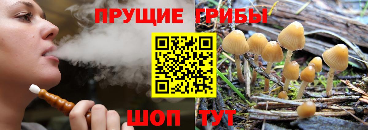 Каннабис Сыктывкар