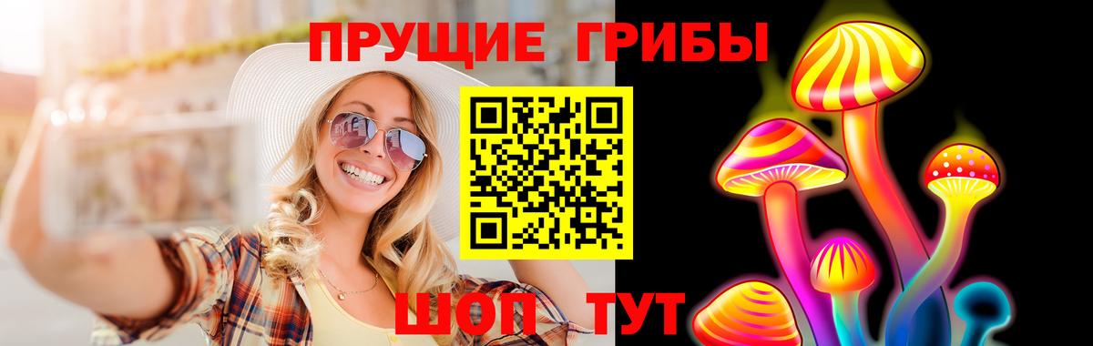 Псилоцибиновые грибы Cubensis Сыктывкар